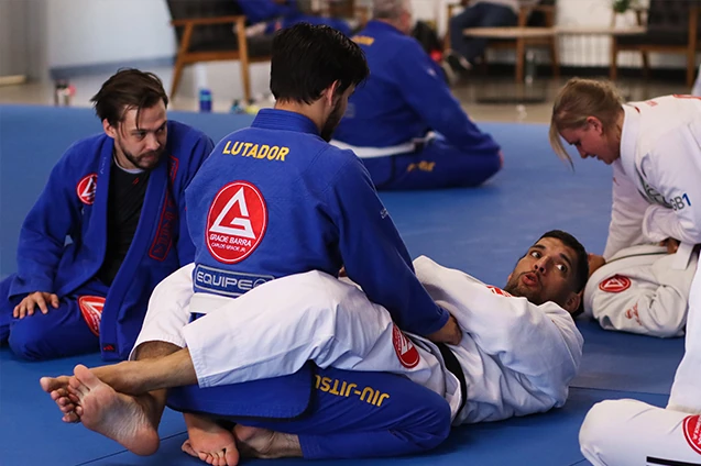 bjj private class west jordan