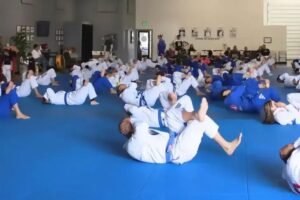 Why Brazilian Jiu-Jitsu Works: The Art, the Science, and Its Power